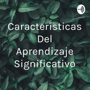 Características Del Aprendizaje Significativo