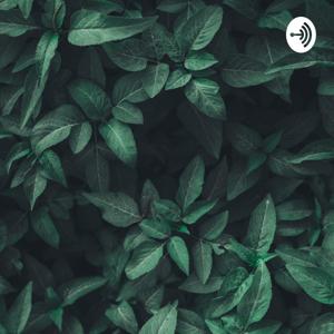Podcasts/Faculdade