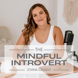 Mindful Introvert