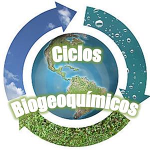 Ciclos Biogeoquímicos