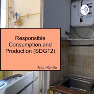 Responsible consumption and production