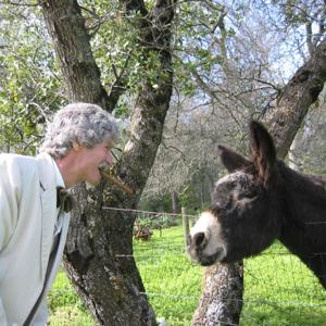 What Would Mark Twain Say?