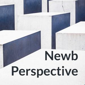 Newb Perspective