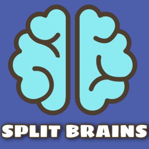 Split Brains