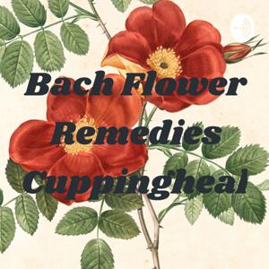 Bach Flower Remedies Cuppingheal by Cuppingheal