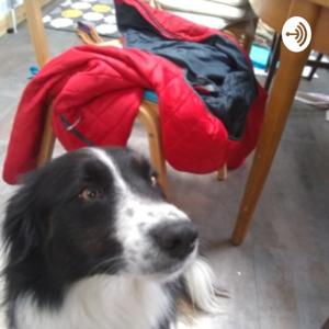 Kitty's Covid Podcast