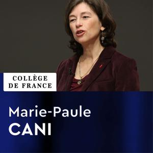 Informatique et sciences numériques - Marie-Paule Cani