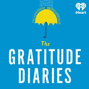 The Gratitude Diaries