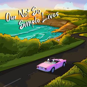 Our Not So Simple Lives