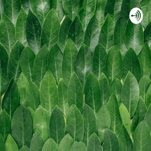 Podcast Da Marili