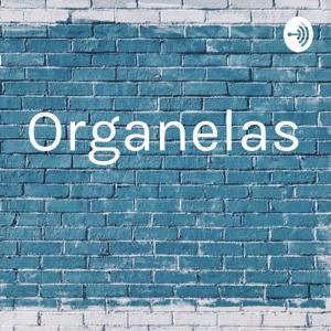 Organelas