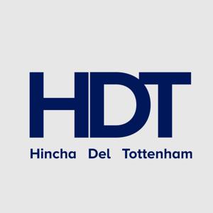 Hincha del Tottenham