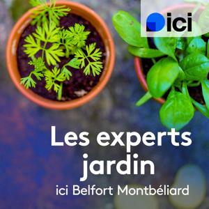 Les experts jardin, ICI Belfort Montbéliard