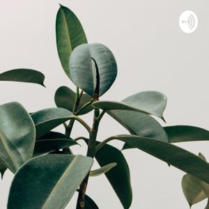 EP3 WEEKLY PODCASTS
(ABBY'S LIFE PODCAST SERIES)