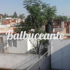 Balbuceante