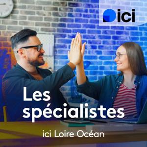 Les spécialistes, ICI Loire Océan