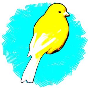 Canary