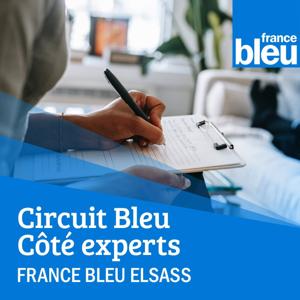 Circuit Bleu - Côté experts solidaires - France Bleu Elsass by ici