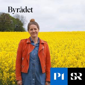 Byrådet