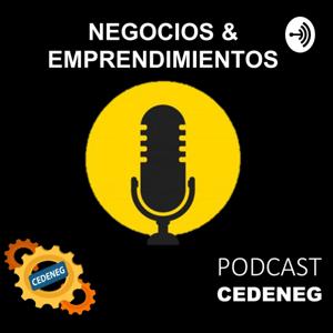NEGOCIOS & EMPRENDIMIENTOS