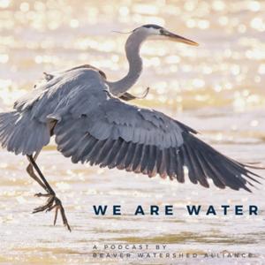 We Are Water