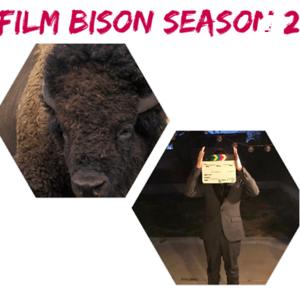 Film bison