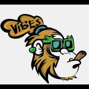 Check The Vibez Podcast