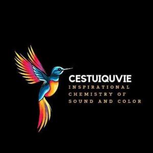 CestuiQuVie