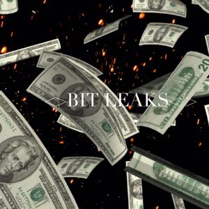 BIT LEAKS