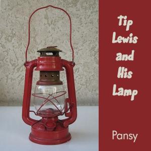 Tip Lewis and His Lamp by Pansy (1841 - 1930)