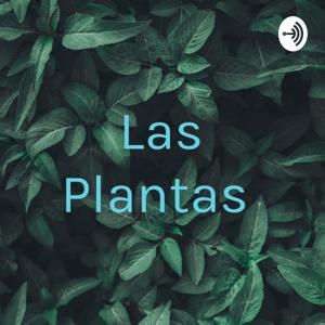 Las Plantas