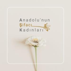 Anadolu'nun Şifacı Kadınları by Didem Mollaoğlu