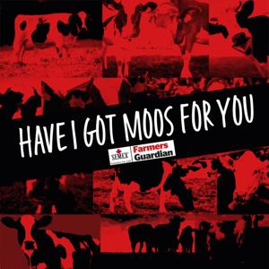 Have I Got Moos For You