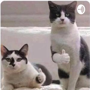 AKASHHARIHARAN'S EXPERIENCE