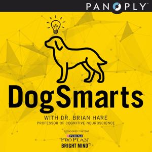 DogSmarts