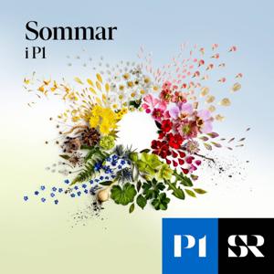 Sommar & Vinter i P1 by Sveriges Radio