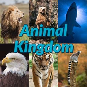 Animal Kingdom