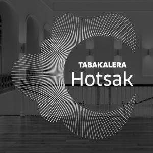 Tabakalera Hotsak