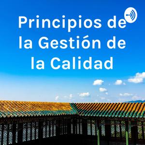 Principios de la Gestión de la Calidad