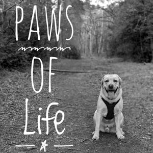 Paws of Life