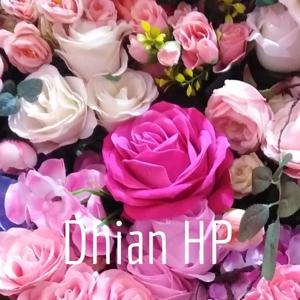 Dhian HP