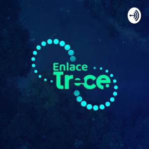 Enlace Trece