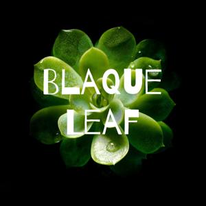 Blaque Leaf