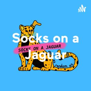 Socks on a Jaguar