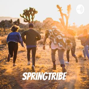 Springtribe - Motivation, Comedy, Marketing