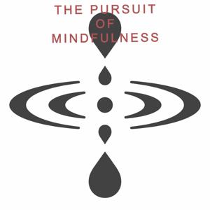 Pursuit of Mindfulness