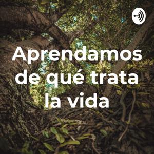 Aprendamos de qué trata la vida