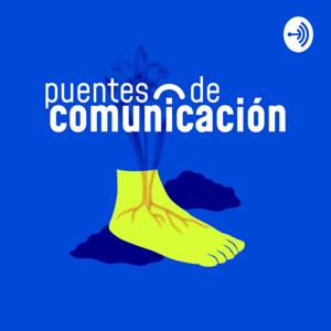 Puentes de comunicación