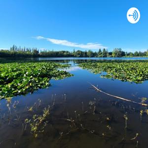 SON OF ENCOURAGEMENT