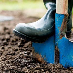 Digging for Something